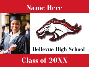 Picture of Bellevue High School Design D