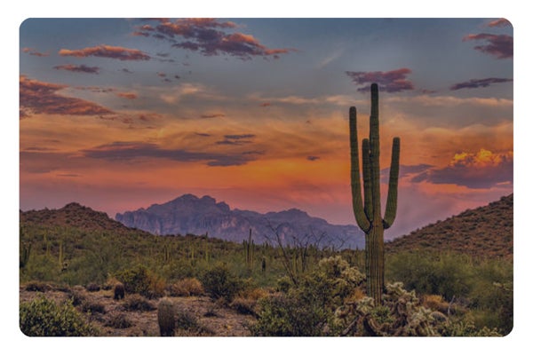 Picture for category Arizona