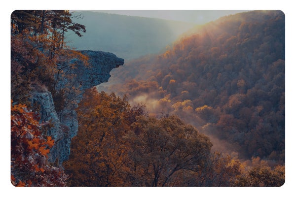 Picture for category Arkansas