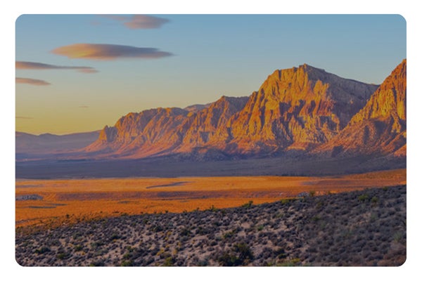 Picture for category Nevada